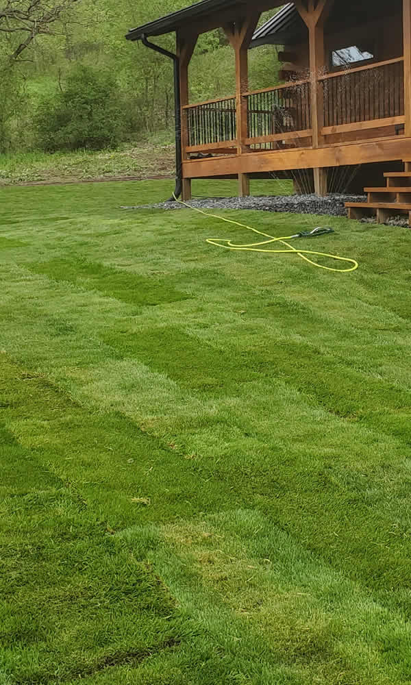New Lawn Installation Sod & Seeding Mondovi WI